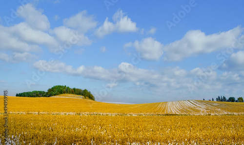 Countryside scenery at autumn season, Wisconsin, Midwest USA,
 photo