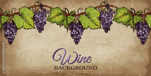 Sketch hand drawn Wine poster with blue grapes and green leaves on branch isolated on vintage background. Engraved drawing realistic grape berry, vineyard template, fruit poster. Vector illustration.
