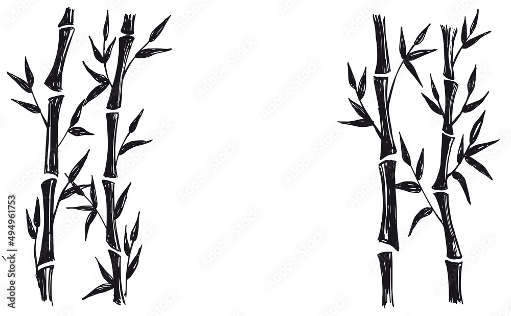 Naklejka premium Bamboo tree. Hand drawn style. Vector illustrations. 