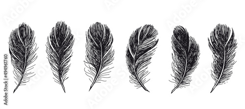 Feathers on white background. Hand drawn sketch style.	

