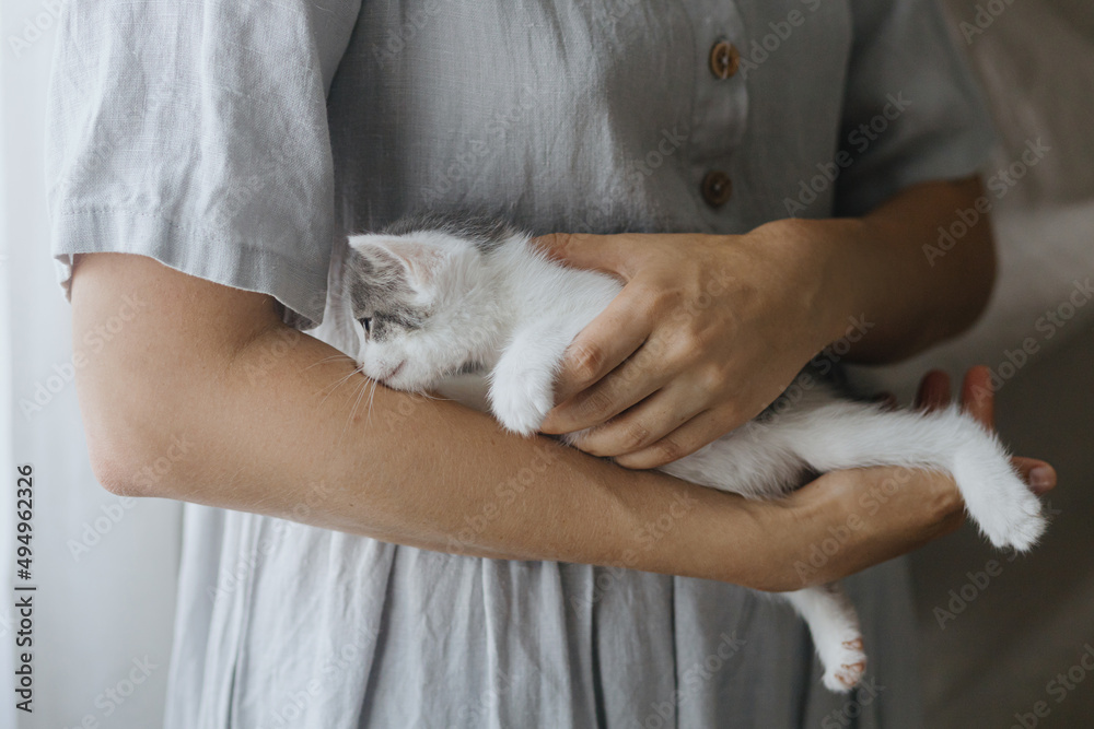 Cute little kitten in hands of woman in rustic dress. Portrait of sweet kitty. Love, care, adoption