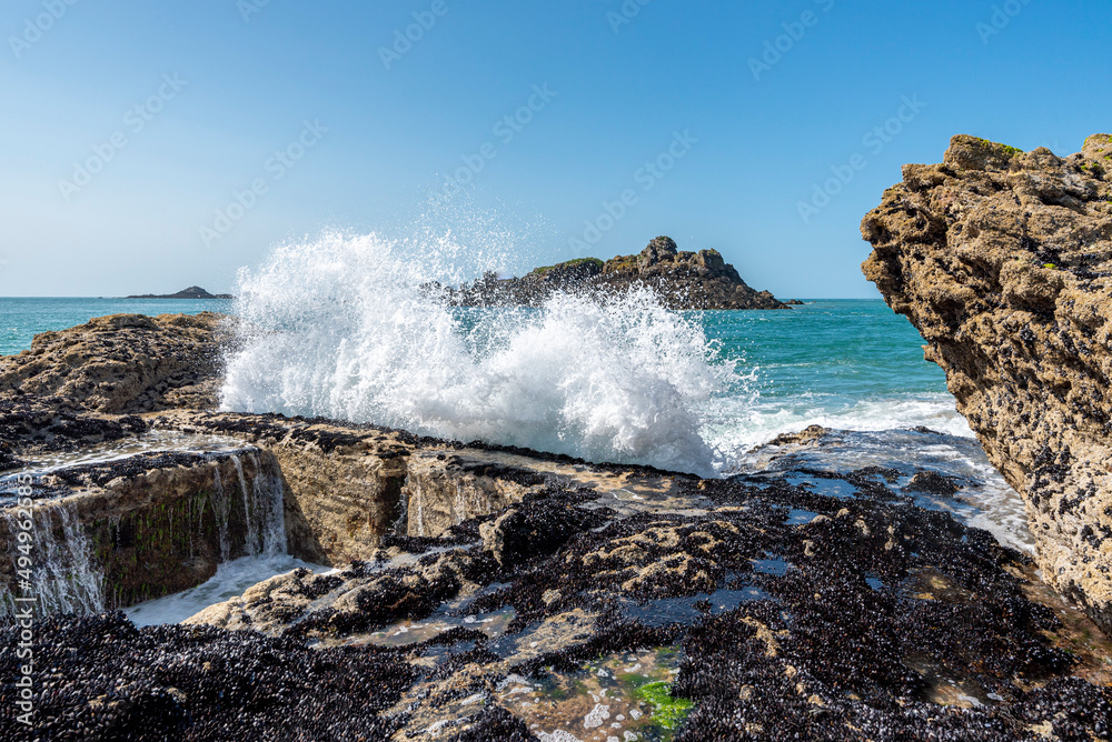 Fototapeta premium mer, ocean, cote, 