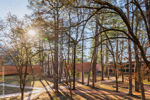 Sunny view of the Ross Hell of University of Arkansas photo