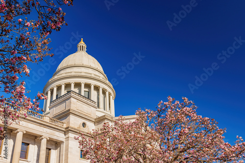 Obraz na płótnie Sunny view of the State Capitol building with Magnolia blossom w salonie