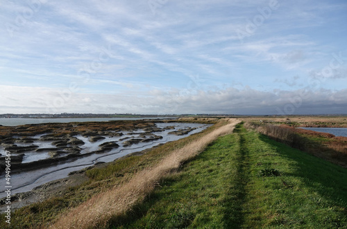 A scenic view along a grassy footpath through the marshland at Old Hall Marshes  Essex  UK. 