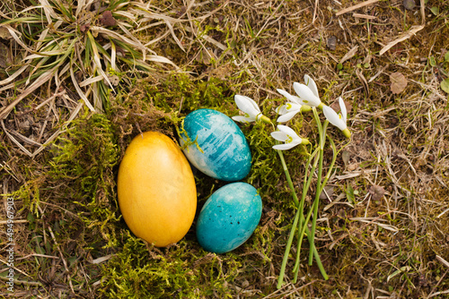 Nest with blue-yellow eggs with snowdrops