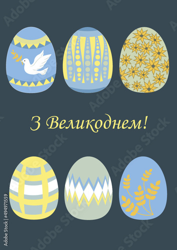 vector set of eggs 
