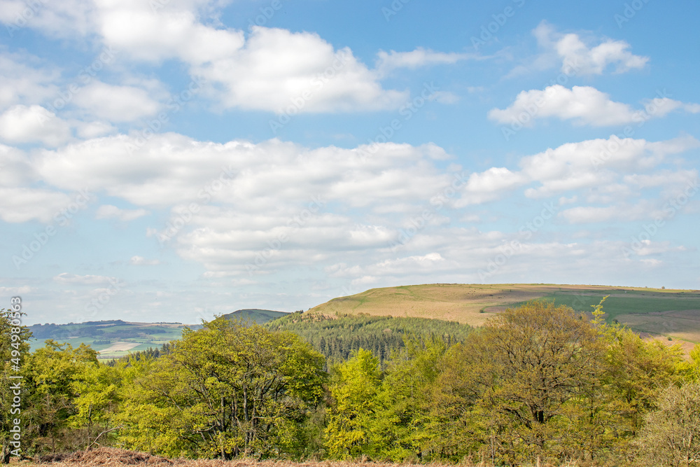 Fototapeta premium Summertime scenery along Hergest ridge in the UK.