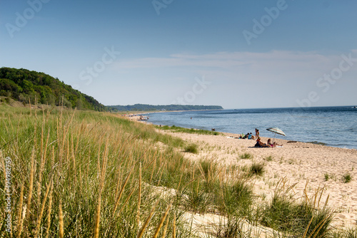 Landscape of a beach surrounded by greenery and the ocean in Saugatuck, Michigan photo