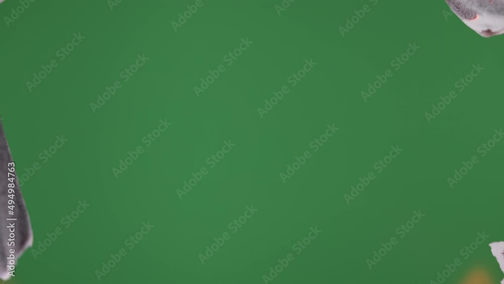 Transition. Old paper is on fire on a green background. Transition. Old paper is on fire on a green background.