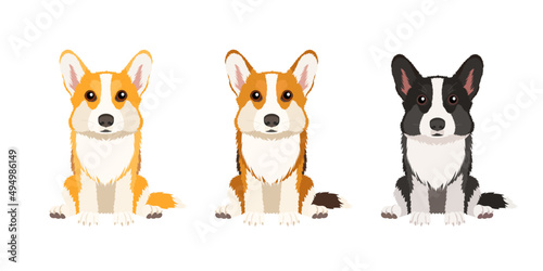 Set of three vector Welsh Corgi Pembroke illustrations isolated on white background