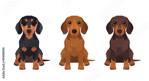 Set of three vector Dachshund illustrations isolated on white background