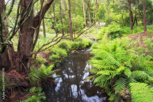 Morton National Park New South Wales Australia photo