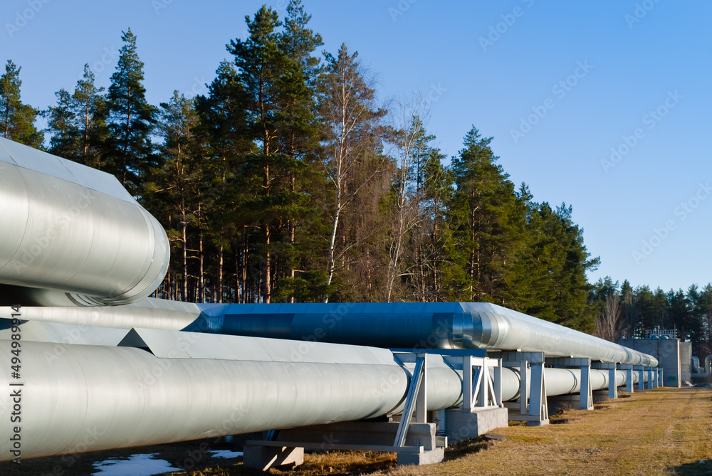 pipeline, in the photo pipeline close-up against a background of green forest and blue sky. pipeline, in the photo pipeline close-up against a background of green forest and blue sky.