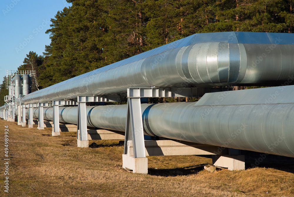 pipeline, in the photo pipeline close-up against a background of green forest and blue sky. pipeline, in the photo pipeline close-up against a background of green forest and blue sky.