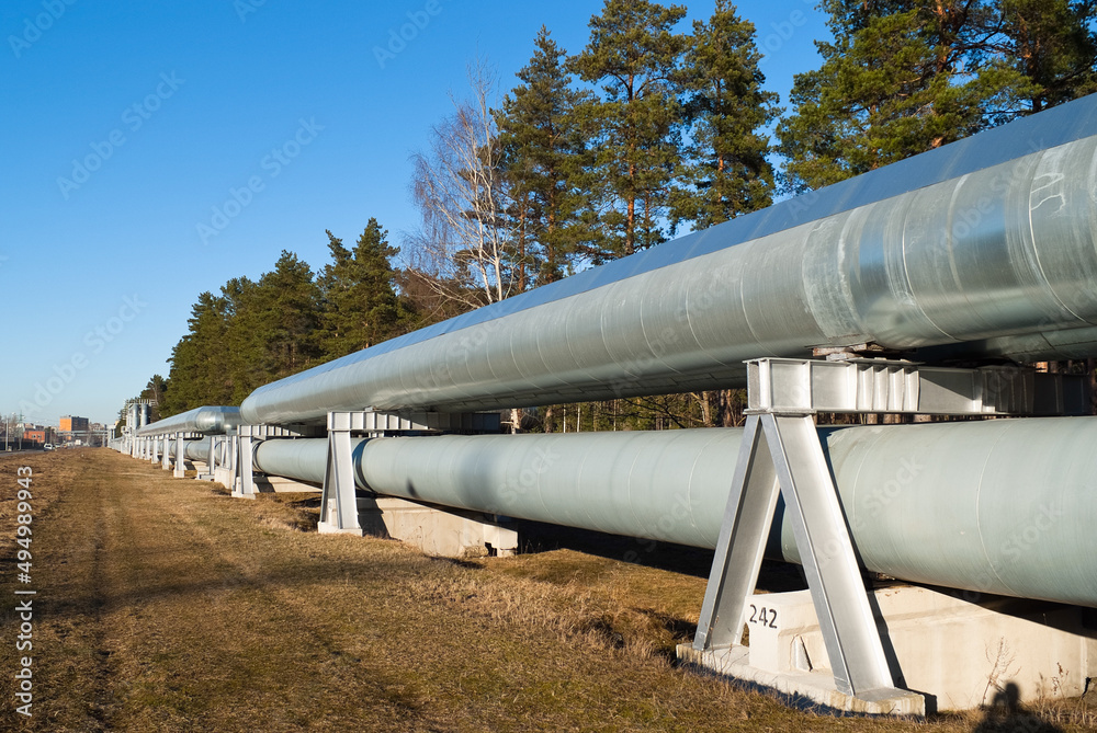 pipeline, in the photo pipeline close-up against a background of green forest and blue sky. pipeline, in the photo pipeline close-up against a background of green forest and blue sky.