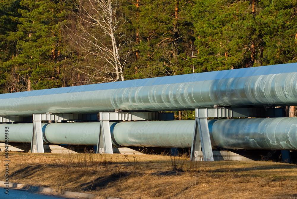 pipeline, in the photo the pipeline is a close-up in the background of a green forest. pipeline, in the photo the pipeline is a close-up in the background of a green forest.