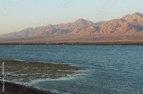 Salt lake with flamingos near Eilat, Israel and the border with Jordan