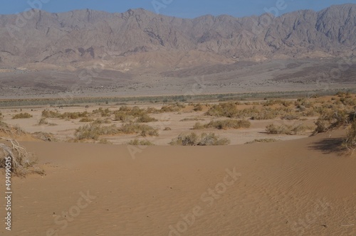 Sand dunes in the desert, selective focus