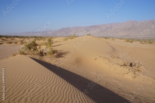 Sand dunes in the desert, selective focus
