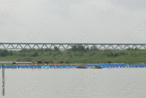 Jun 19, 2021, Approach Road, Mawa, Bangladesh. Padma Bridge in the midst of the amazing natural beauty of the river Padma photo