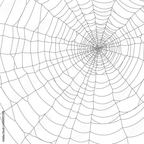 Vector illustration of a spider web on white background