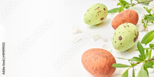 Branches with green leaves and easter eggs on a white background. Happy easter concept with copy space