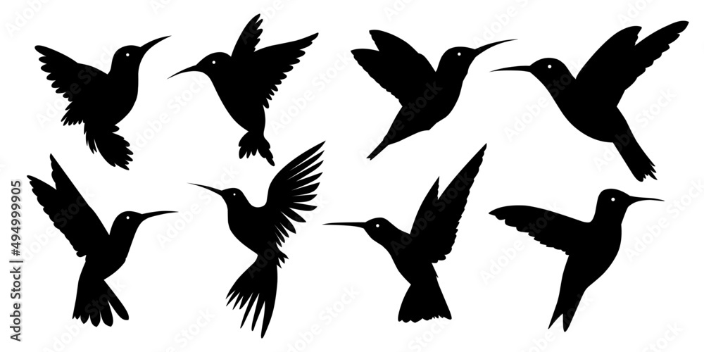 Vector silhouette hummingbird with white background