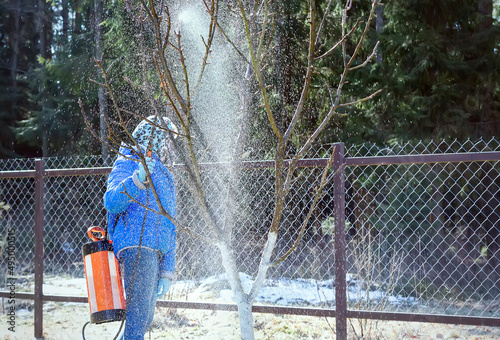 Spraying fruit trees. Spring processing of agricultural land from pests