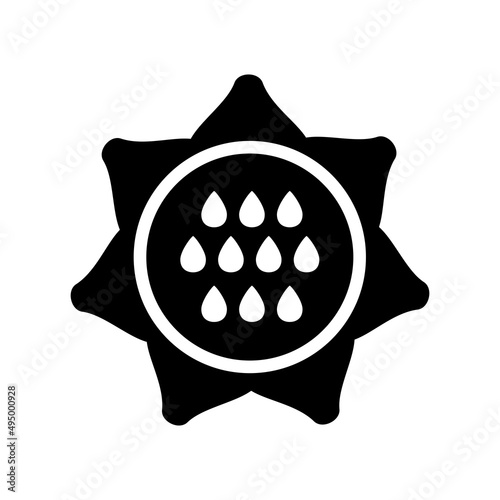 Sunflower outline glyph icon. Vegetable vector