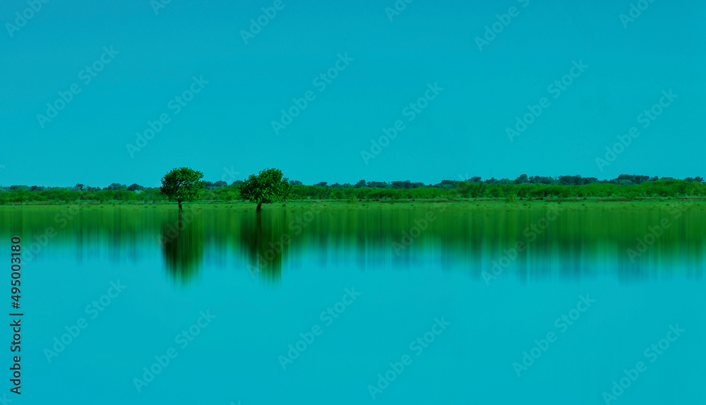 Obraz premium Paisaje rural minimalista con dos árboles