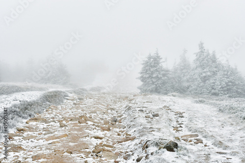 Frosted stones on the way to the top of Mount Snieznik on a hiking mountain trail, winter landscape on a foggy day. © Castigatio