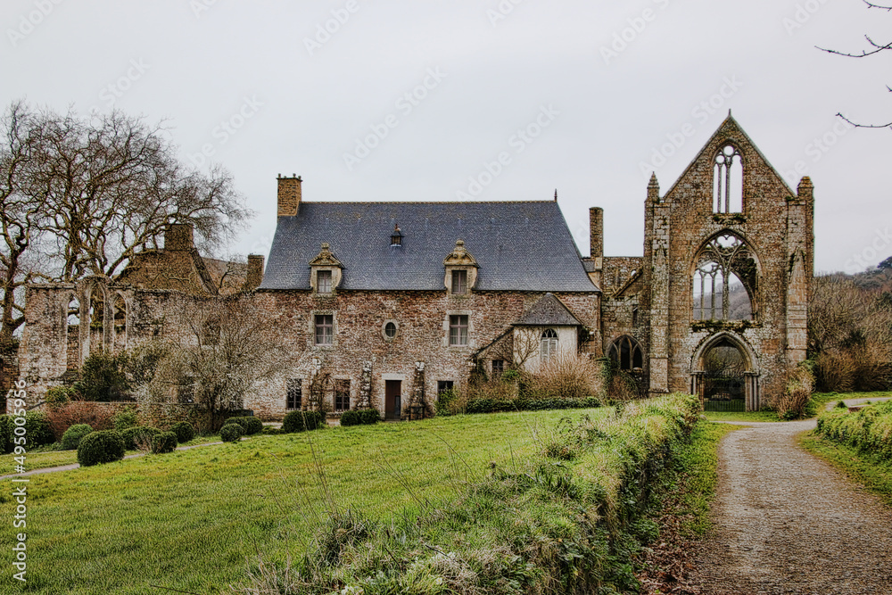 Fototapeta premium beauport