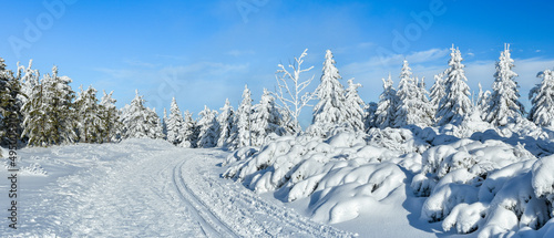 Winter landscape in the mountains, snow-covered forest on the mountain hiking trail, view on a sunny day.