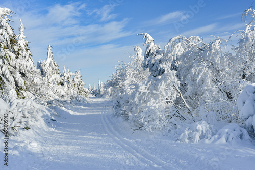 Winter landscape in the mountains, snow-covered forest on the mountain hiking trail, view on a sunny day.