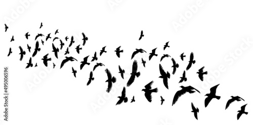 flying birds black silhouette isolated vector