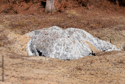 a salt rock coming out from the ground photo