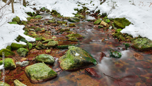 A mountain river in the forest in winter  calm water flows along the river bed with stones covered with green moss.