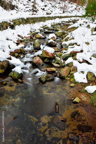 A mountain river in the forest in winter  calm water flows along the river bed with stones covered with green moss.