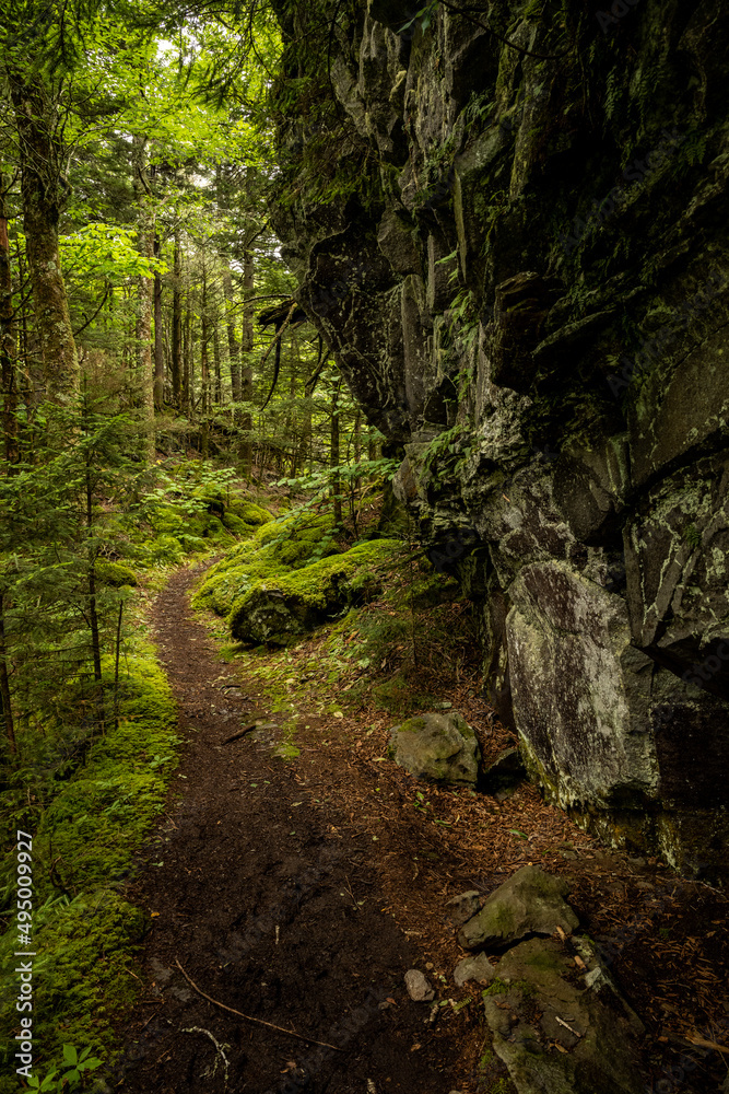 Large Cliff And Mossy Forest Near Mount Sterling Large Cliff And Mossy Forest Near Mount Sterling