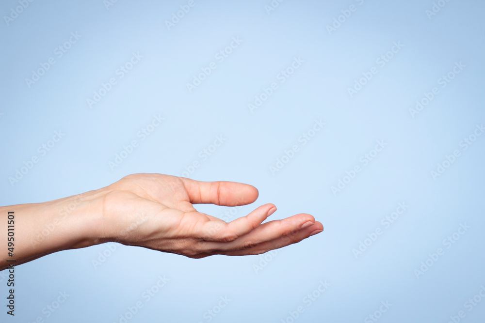 Woman hand gesture. Female open hand on light blue background. Empty palm up. Front view Woman hand gesture. Female open hand on light blue background. Empty palm up. Front view