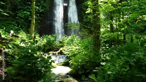 A fresh green mountain stream with abundant nature.