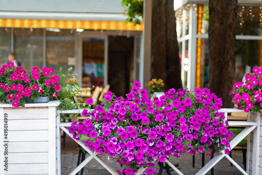Restaurant decorated blooming garden flowers