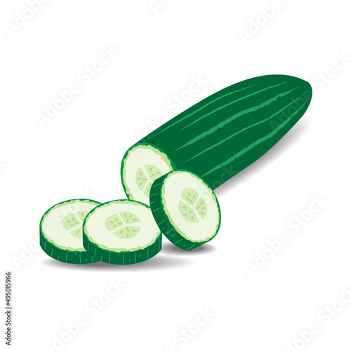 Illustration of healthy, hydrating and cooling cucumber isolated on a white background.