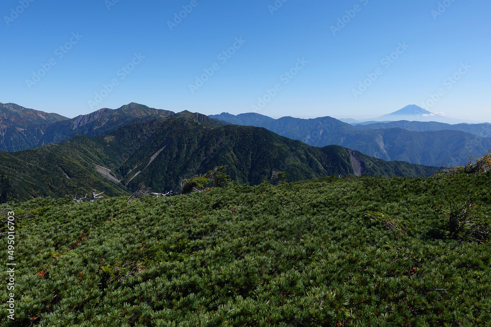 Fototapeta premium 光岳から望む富士山