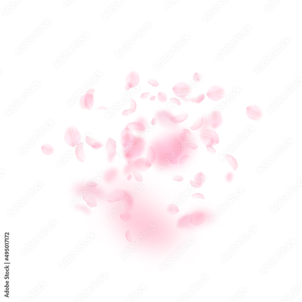 Sakura petals falling down. Romantic pink flowers explosion. Flying petals on white square background. Love, romance concept. Fabulous wedding invitation.