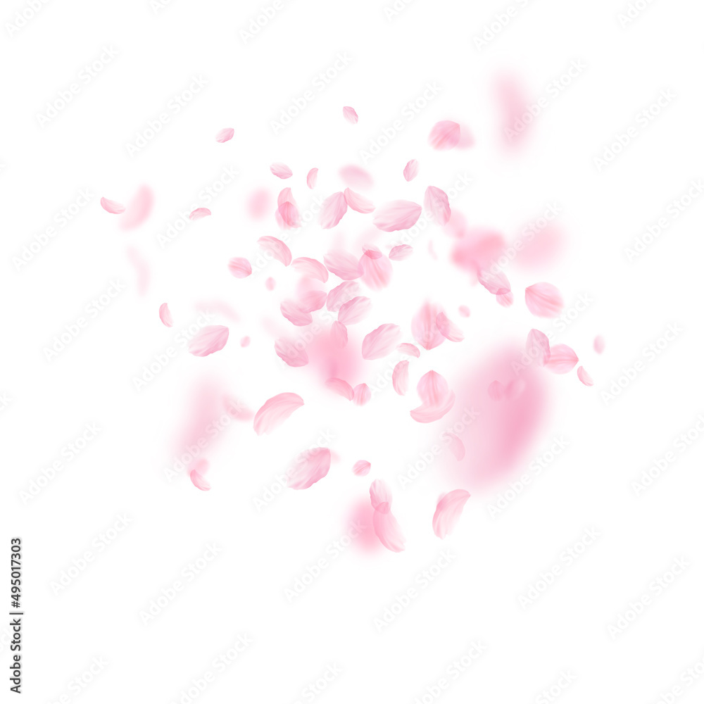 Sakura petals falling down. Romantic pink flowers explosion. Flying petals on white square background. Love, romance concept. Eminent wedding invitation.