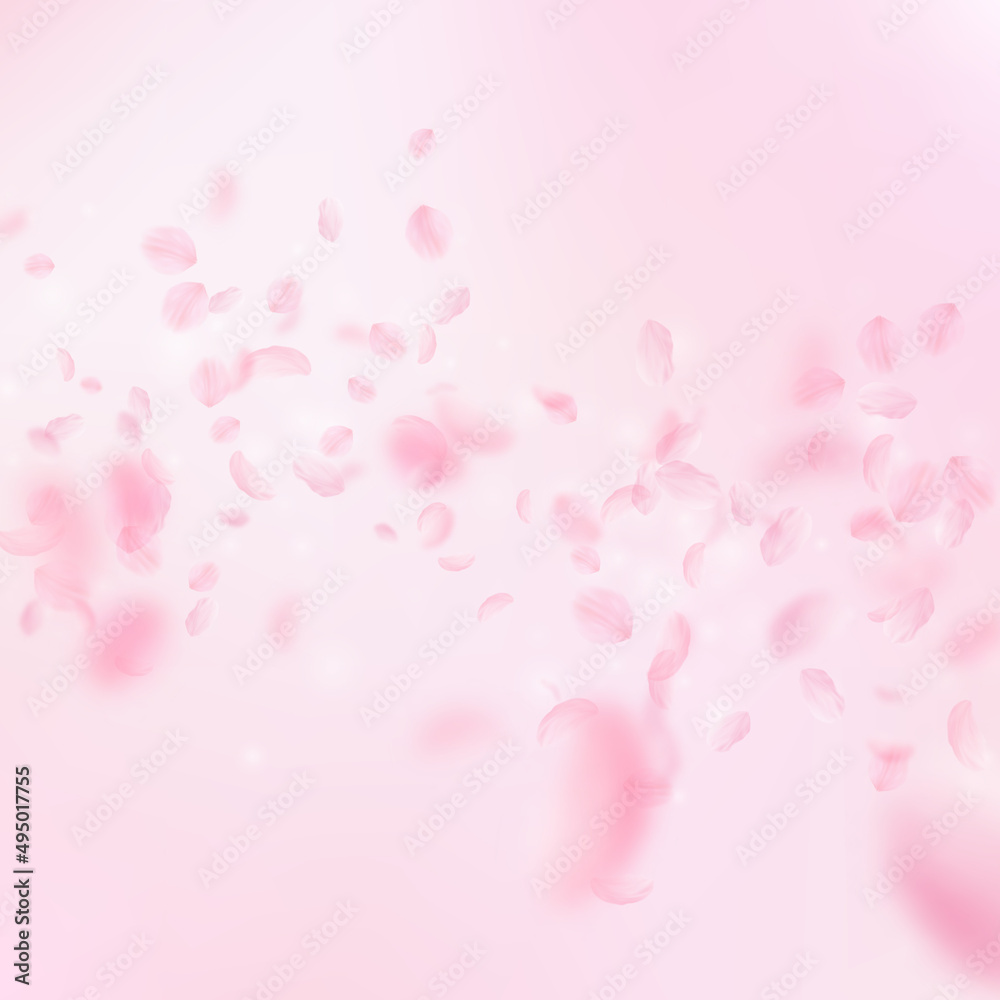 Sakura petals falling down. Romantic pink flowers falling rain. Flying petals on pink square background. Love, romance concept. Impressive wedding invitation.