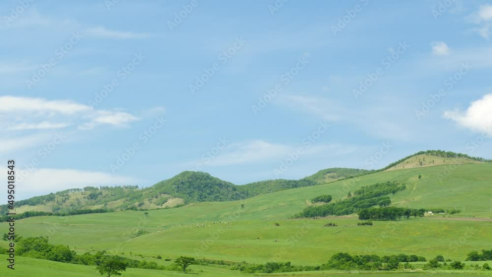 Hokkaido. A view of the blue sky and the magnificent ranch. Hokkaido. A view of the blue sky and the magnificent ranch.