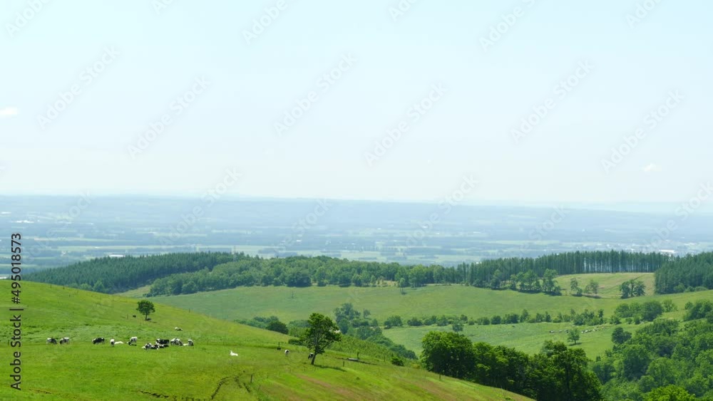 Hokkaido. A view of the blue sky and the magnificent ranch.